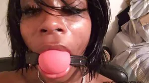 Το Bad Boy χτυπά όλη την καταραμένη οικογένεια! - ft. Alexis Fawx